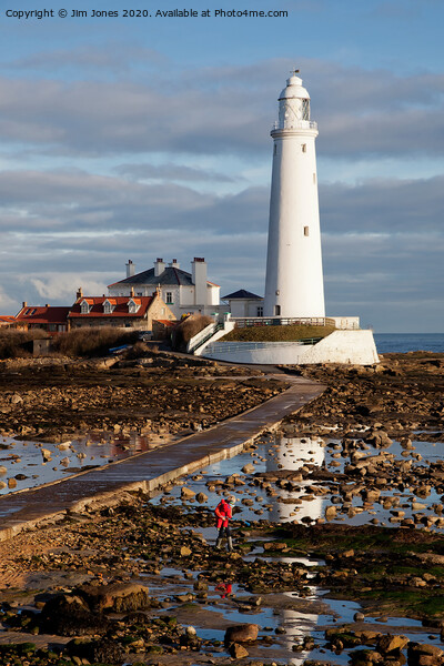 Looking for rock pools at St Mary's Island Picture Board by Jim Jones