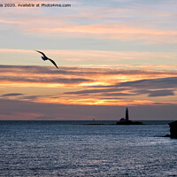 Buy canvas prints of An early bird over St Mary's Island by Jim Jones