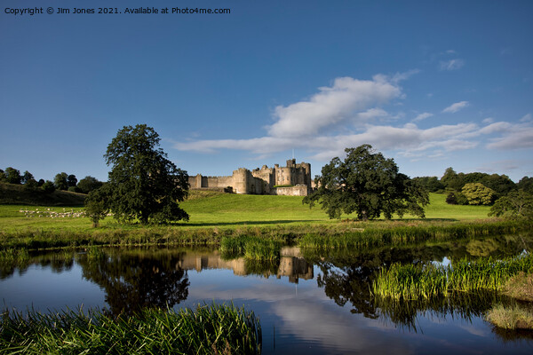 Alnwick Castle reflected in the River Aln. Picture Board by Jim Jones