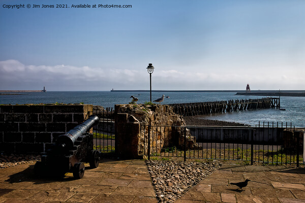 Guarding the mouth of the River Tyne Picture Board by Jim Jones