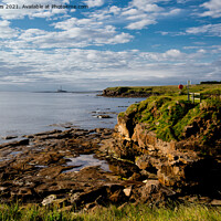 Buy canvas prints of Looking south from Rocky Island, Seaton Sluice by Jim Jones