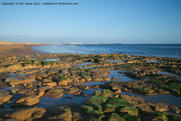 Rock Pools on the beach at Seaton Sluice Picture Board by Jim Jones