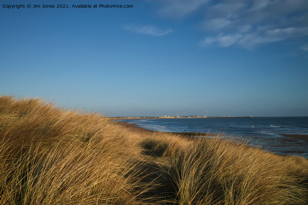 From the Seaton Sluice Sand Dunes Picture Board by Jim Jones