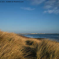 Buy canvas prints of From the Seaton Sluice Sand Dunes by Jim Jones