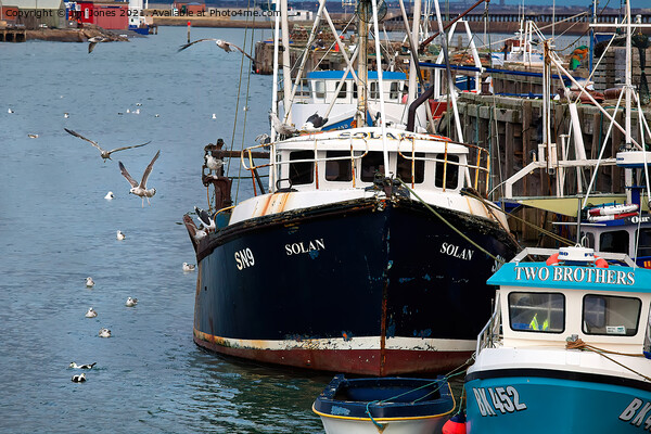  Fishing boats and seagulls Picture Board by Jim Jones
