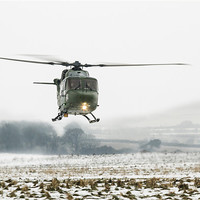 Buy canvas prints of Army Lynx in the snow by Ian Jones