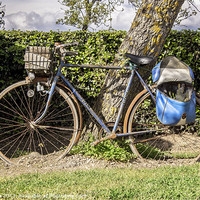Buy canvas prints of Tired old Bicycle by Ian Jones