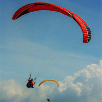 Buy canvas prints of Paragliding on the coast by Ian Jones
