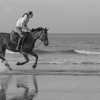 Buy canvas prints of Galloping horse on a beach by Ian Jones