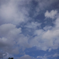 Buy canvas prints of Cloudwatching by Daniel West