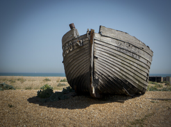 Dungeness shipwreck  Picture Board by Victoria Bowie