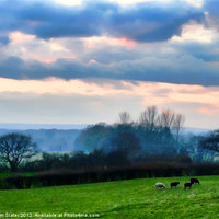 Buy canvas prints of Countryside by Kim Slater