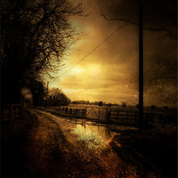 Buy canvas prints of Country Ways by Kim Slater
