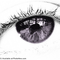 Buy canvas prints of Lilac Eye by Kim Slater