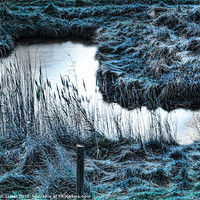 Buy canvas prints of Frozen Pond by Kim Slater