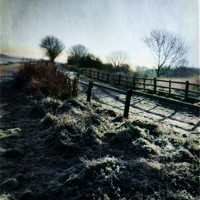 Buy canvas prints of Frosty Morning by Kim Slater