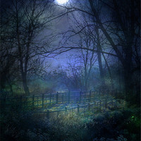 Buy canvas prints of Moonlit Walk by Kim Slater