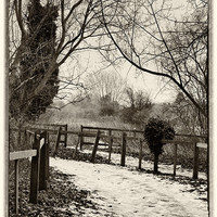 Buy canvas prints of Snowy Path by Kim Slater