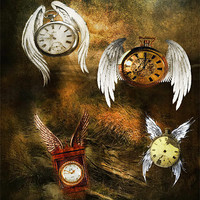 Buy canvas prints of Time Flys by Kim Slater