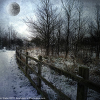 Buy canvas prints of Snow Moon by Kim Slater