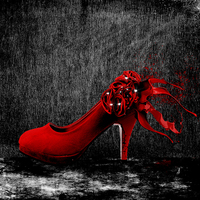 Buy canvas prints of The Red Shoe by Kim Slater