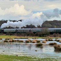 Buy canvas prints of  Kent and East Sussex Railway by Kim Slater