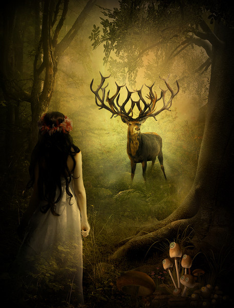  Mystical Forest Picture Board by Kim Slater