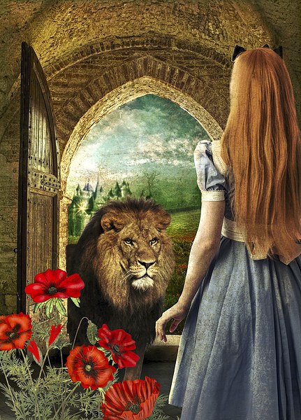 Dorothy and the Lion Picture Board by Kim Slater