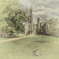 Buy canvas prints of Ely Cathedral by Kim Slater