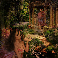 Buy canvas prints of Fairy Forest by Kim Slater