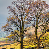 Buy canvas prints of Welsh Cottage Snowdonia Wales by Adrian Evans