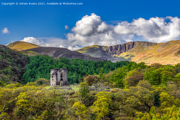 Dolbadarn Castle Llanberis Snowdonia Picture Board by Adrian Evans