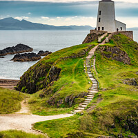 Buy canvas prints of Anglesey Lighthouse Wales by Adrian Evans