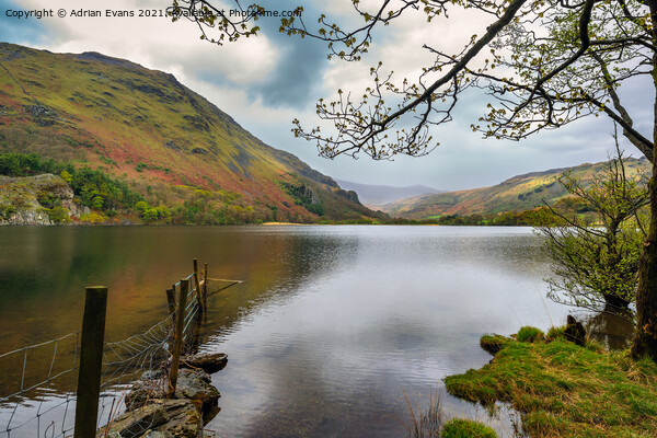 Gwynant Lake Snowdonia Picture Board by Adrian Evans