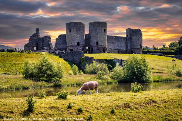 Rhuddlan Castle Picture Board by Adrian Evans