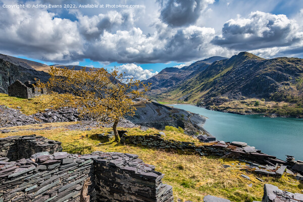 Snowdon Mountain from Dinorwic Slate Quarry Picture Board by Adrian Evans