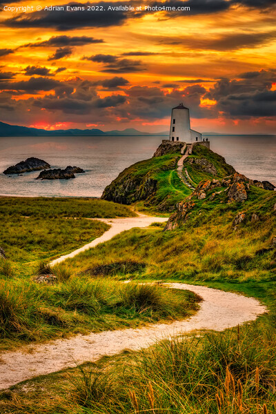 Twr Mawr Lighthouse Anglesey Wales Picture Board by Adrian Evans