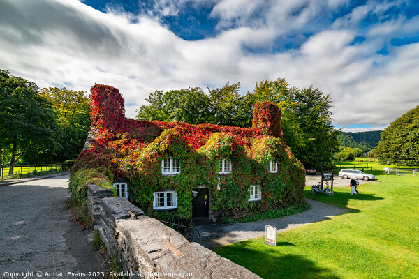 Llanrwst Autumn Cottage Wales Picture Board by Adrian Evans