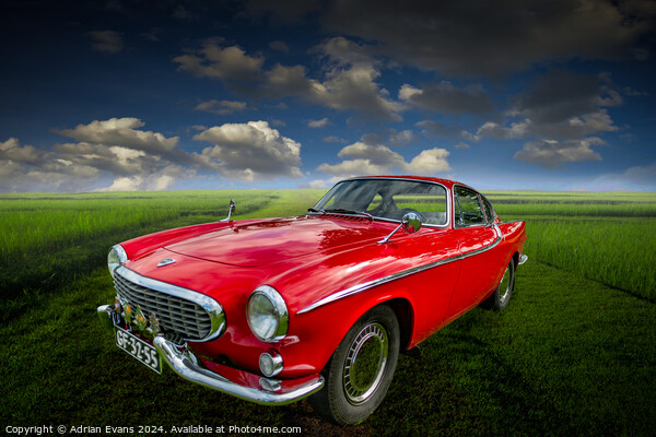 Classic Sports Car  Picture Board by Adrian Evans