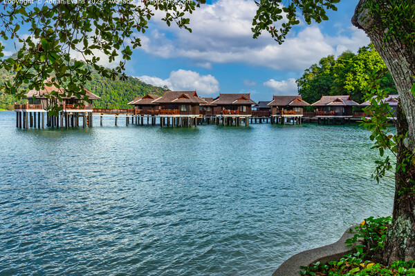 Pangkor Laut Bay Malaysia Picture Board by Adrian Evans