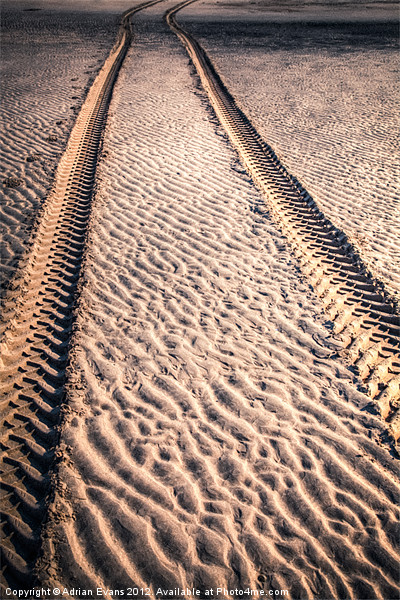 Sand Tracks Picture Board by Adrian Evans