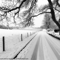 Buy canvas prints of Snowy Lane by Adrian Evans