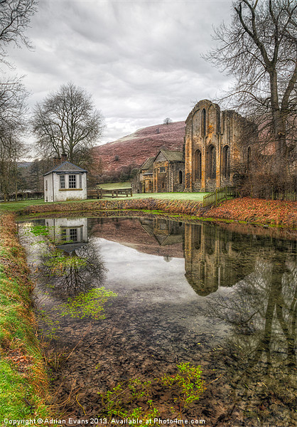 Valle Crucis Abbey Llangollen Picture Board by Adrian Evans