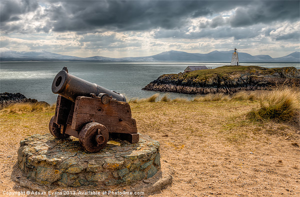 Cannon at Llanddwyn Island Picture Board by Adrian Evans