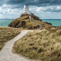 Buy canvas prints of Lighthouse Path by Adrian Evans