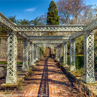 Buy canvas prints of Garden Path by Adrian Evans