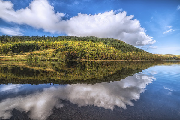 Autumn Reflections Geirionydd Lake  Picture Board by Adrian Evans