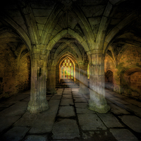 Buy canvas prints of Abbey Sunlight by Adrian Evans
