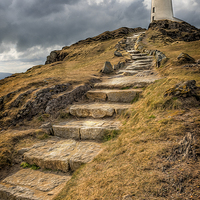 Buy canvas prints of Lighthouse Way by Adrian Evans