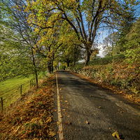 Buy canvas prints of Autumn Country Road by Adrian Evans